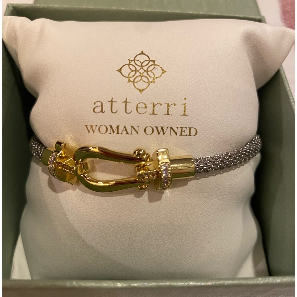 Atterri skinny mesh horse-bit mesh mixed metal silver Bracelet new n gift box